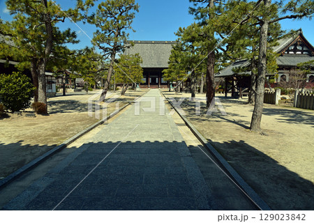 青空に映える知恩寺の本堂 青空に映える知恩寺の本堂 129023842