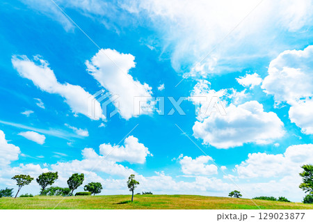 青空と雲と草原 129023877
