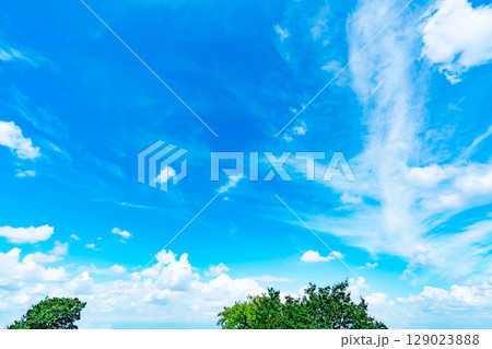 青空と雲と木立 129023888