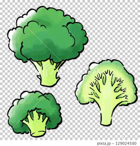 手繪西蘭花 手繪西蘭花 129024580