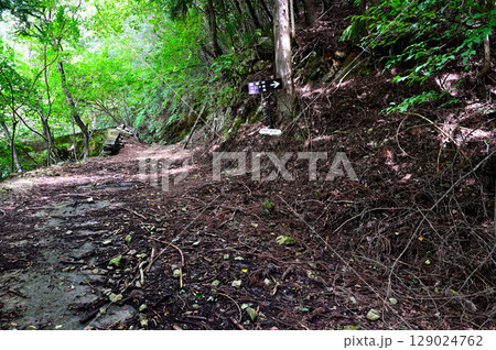 御坂山地の鍵掛　鍵掛峠登山口 129024762