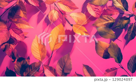 autumn leaves on pink background autumn leaves on pink background 129024897