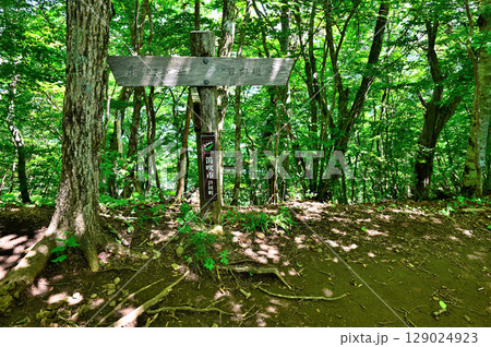 御坂山地の府駒山　笛吹市トレッキングコースの登山道 129024923