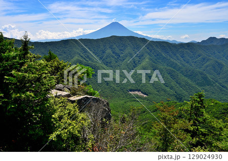 御坂山地の釈迦ヶ岳山頂より　夏富士山と緑の山稜 129024930