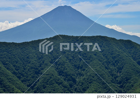 御坂山地の釈迦ヶ岳山頂より　夏富士山と緑の山稜 129024931