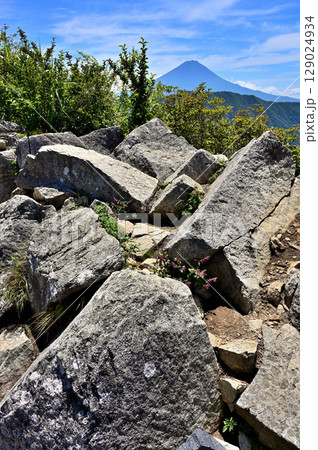 御坂山地　岩稜の釈迦ヶ岳山頂より望む夏富士 129024934