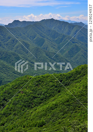 夏の御坂山地 釈迦ヶ岳山頂からの展望 夏の御坂山地 釈迦ヶ岳山頂からの展望 129024937