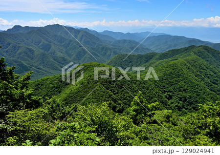 夏の御坂山地　釈迦ヶ岳山頂からの展望 129024941