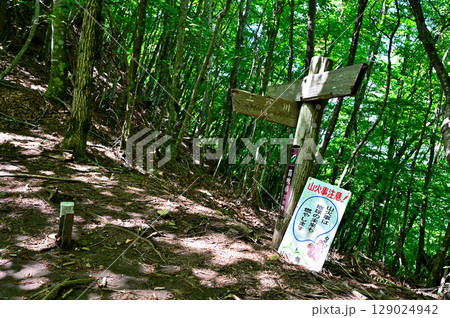 御坂山地の釈迦ヶ岳　笛吹市トレッキングコースの登山道　上芦川分岐 129024942