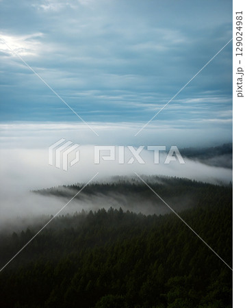Fog Blankets the Forested Hills Under a Cloudy Sky in a Tranquil Landscape 129024981