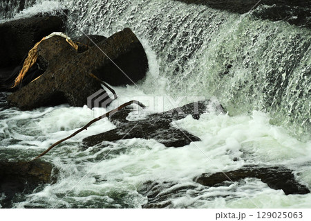 河川の氾濫　増水　溢水　越水　豪雨　A river overflows 129025063