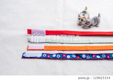 面ファスナーをつけたバイヤステープ 129025314