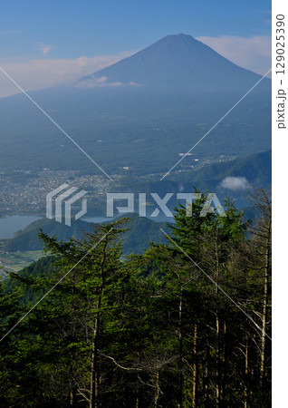 御坂山地の新道峠　FUJIYAMAツインテラスのセカンドテラスから望む富士山 129025390