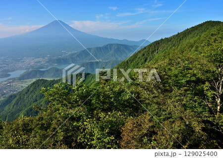 御坂山地の新道峠からの展望　富士山と足和田山の眺望 129025400