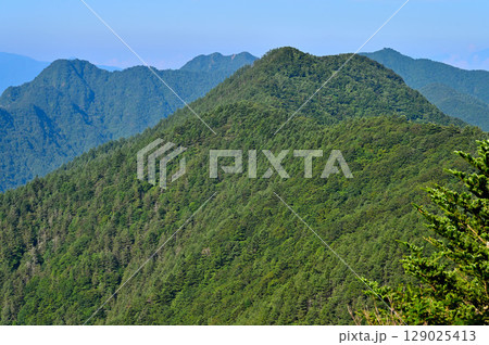 御坂山地の破風山より眺める夏の中藤山 129025413