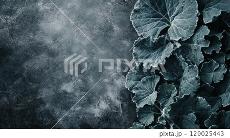 dark moody green leaves on textured background 129025443