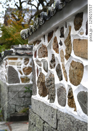 五色塀（草場小路・長崎県大村市）影を控え目に撮影 129025557