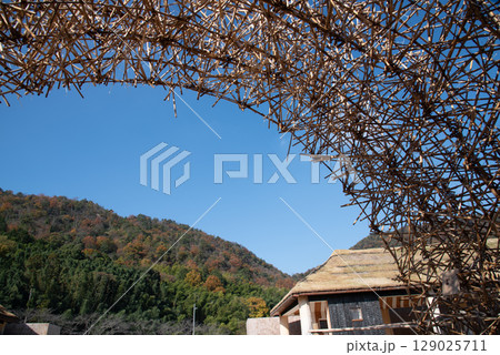 葦のトンネルと青空 葦のトンネルと青空 129025711