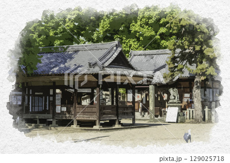 水彩画風 素盞嗚神社 神楽殿と拝殿 広島県福山市 水彩画風 素盞嗚神社 神楽殿と拝殿 広島県福山市 129025718