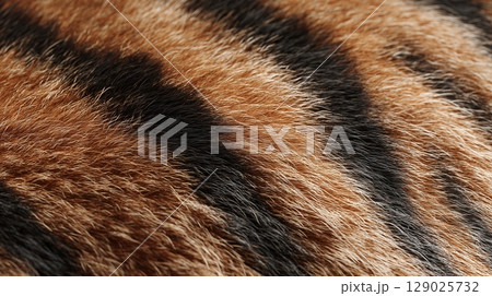虎柄 毛並みアップ 縞模様アニマルパターン 背景テクスチャ 129025732
