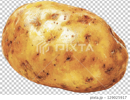 potato  129025917