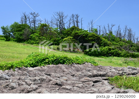 七ツ釜　七ツ釜園地　屋形石の七ツ釜　(佐賀県) 129026000