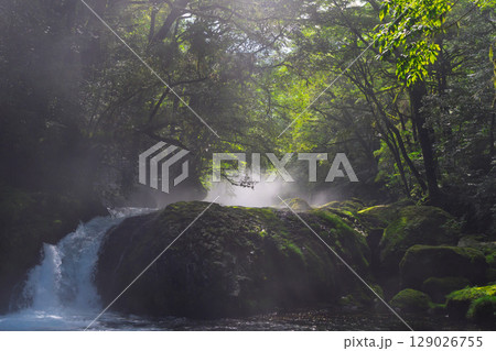 (新緑・森林浴スポット) 渓流と豊かな森が 織りなす四季折々の絶景 菊池渓谷(熊本県菊池市原) (新緑・森林浴スポット) 渓流と豊かな森が 織りなす四季折々の絶景 菊池渓谷(熊本県菊池市原) 129026755