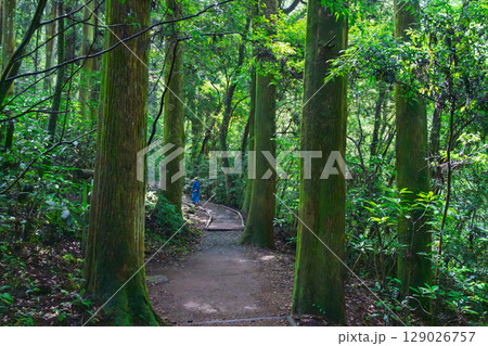 (新緑・森林浴スポット)　渓流と豊かな森が 織りなす四季折々の絶景　菊池渓谷(熊本県菊池市原) 129026757