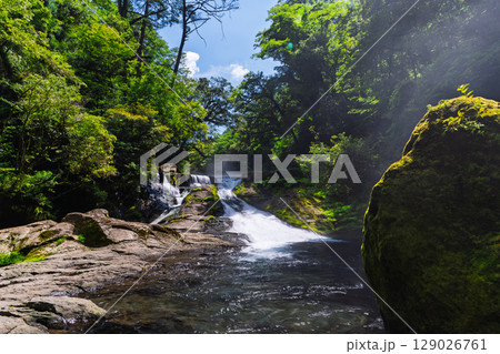 (新緑・森林浴スポット)　渓流と豊かな森が 織りなす四季折々の絶景　菊池渓谷(熊本県菊池市原) 129026761