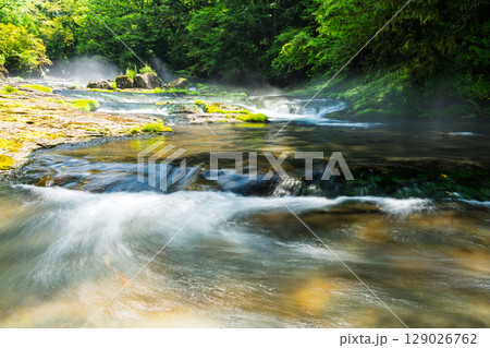 (新緑・森林浴スポット)　渓流と豊かな森が 織りなす四季折々の絶景　菊池渓谷(熊本県菊池市原) 129026762