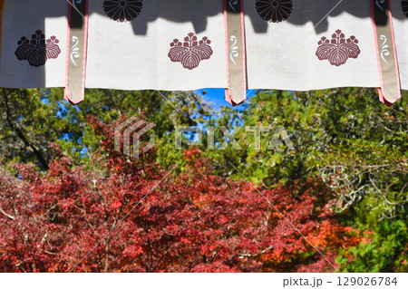 鎌倉 覚園寺の美しい紅葉（神奈川県鎌倉市） 129026784