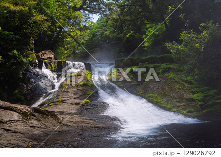 (新緑・森林浴スポット)　渓流と豊かな森が 織りなす四季折々の絶景　菊池渓谷(熊本県菊池市原) 129026792