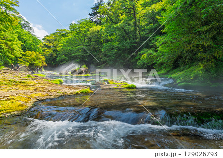 (新緑・森林浴スポット)　渓流と豊かな森が 織りなす四季折々の絶景　菊池渓谷(熊本県菊池市原) 129026793