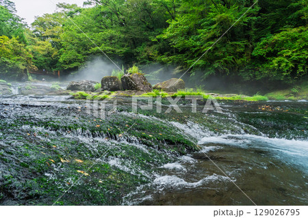 (新緑・森林浴スポット)　渓流と豊かな森が 織りなす四季折々の絶景　菊池渓谷(熊本県菊池市原) 129026795