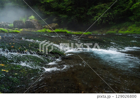 (新緑・森林浴スポット) 渓流と豊かな森が 織りなす四季折々の絶景 菊池渓谷(熊本県菊池市原) (新緑・森林浴スポット) 渓流と豊かな森が 織りなす四季折々の絶景 菊池渓谷(熊本県菊池市原) 129026800