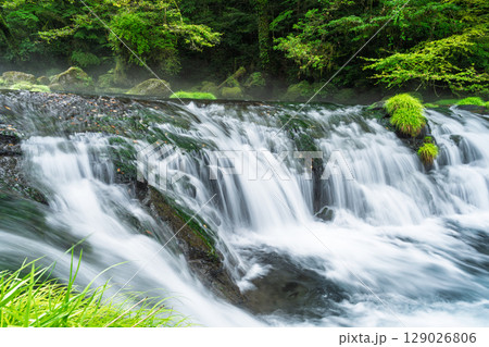 (新緑・森林浴スポット)　渓流と豊かな森が 織りなす四季折々の絶景　菊池渓谷(熊本県菊池市原) 129026806