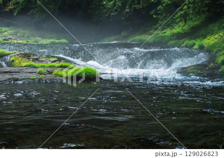 (新緑・森林浴スポット)　渓流と豊かな森が 織りなす四季折々の絶景　菊池渓谷(熊本県菊池市原) 129026823