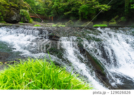 (新緑・森林浴スポット)　渓流と豊かな森が 織りなす四季折々の絶景　菊池渓谷(熊本県菊池市原) 129026826