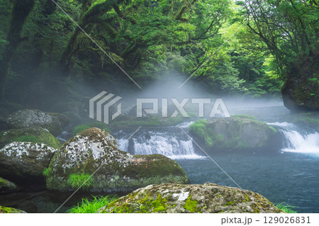 (新緑・森林浴スポット)　渓流と豊かな森が 織りなす四季折々の絶景　菊池渓谷(熊本県菊池市原) 129026831