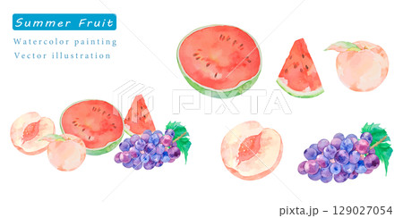 水彩で描いた夏の果物のベクターイラスト 水彩で描いた夏の果物のベクターイラスト 129027054