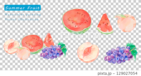 水彩で描いた夏の果物のベクターイラスト 水彩で描いた夏の果物のベクターイラスト 129027054
