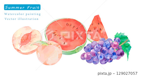 水彩で描いた夏の果物のベクターイラスト 129027057