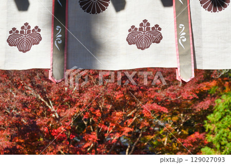 鎌倉 覚園寺の美しい紅葉(神奈川県鎌倉市) 鎌倉 覚園寺の美しい紅葉(神奈川県鎌倉市) 129027093