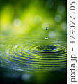 Single Water Droplet Creating Ripple in Still Green Pond with Soft Bubbles and Gentle Waves 129027105