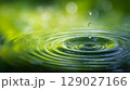 Droplet Touching Surface of Calm Green Pond with Expanding Ripple and Natural Water Texture 129027166