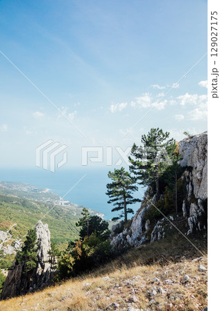 scenery on the sea, mountains and forest scenery on the sea, mountains and forest 129027175