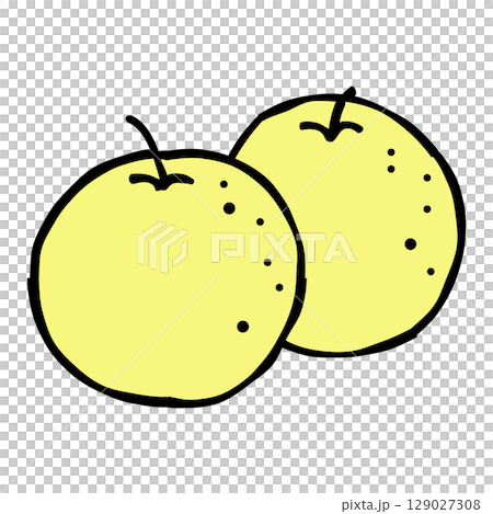 2個の梨のイラスト(青梨) 2個の梨のイラスト(青梨) 129027308