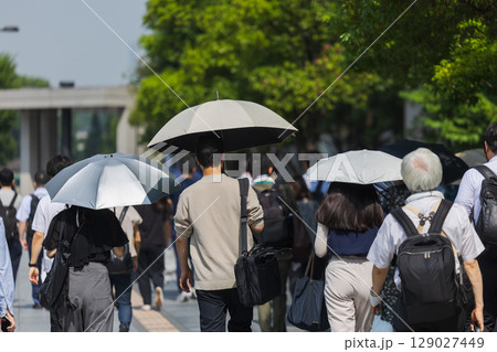 日傘をさす男性の後ろ姿 日傘をさす男性の後ろ姿 129027449