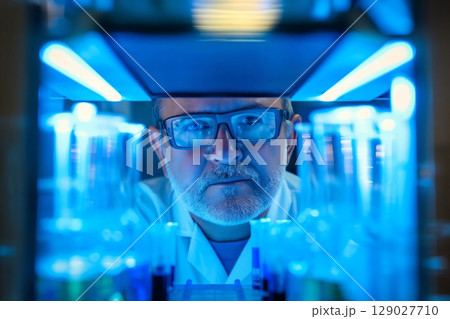 Scientist wearing safety glasses is examining test tubes containing blue liquid in a modern laboratory 129027710