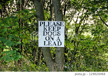 Old Hand Made Please Keep Dogs On A Lead Sign at a Countryside Location 129028468